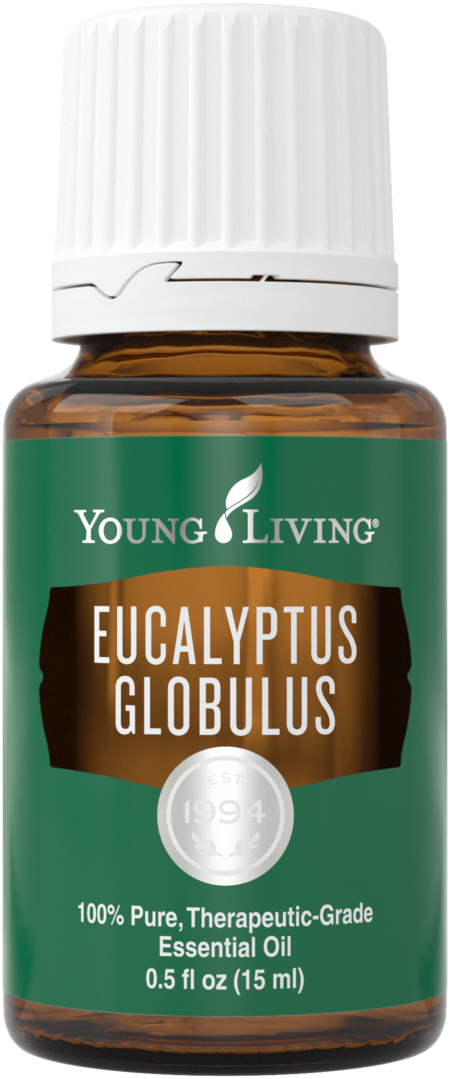 Eucalyptus globulus (15ml)