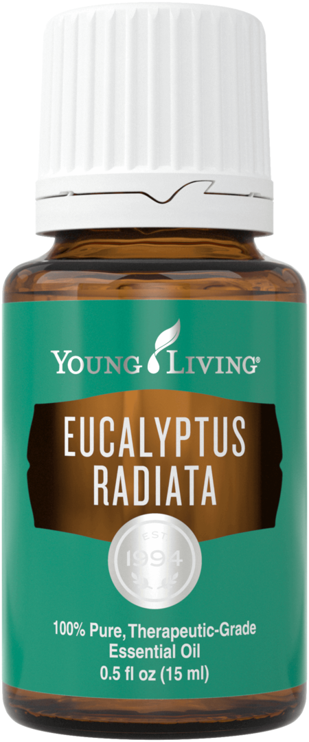 Eucalyptus radiata (15ml)