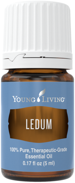 Ledum (5ml)