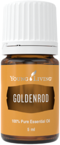 Goldenrod - Goldrute (5ml)
